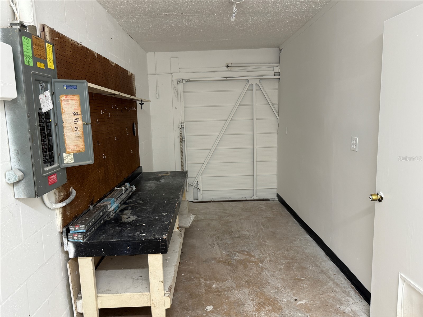 8825 Wabash Lane Port Richey FL 34668 TB8514417 image22