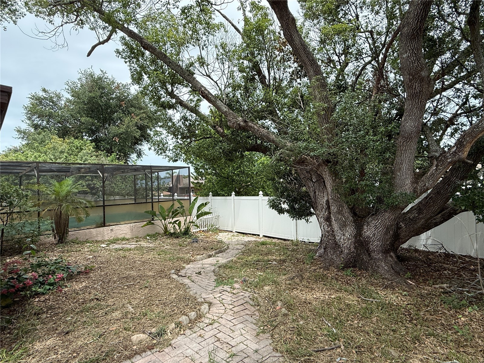 8825 Wabash Lane Port Richey FL 34668 TB8514417 image5