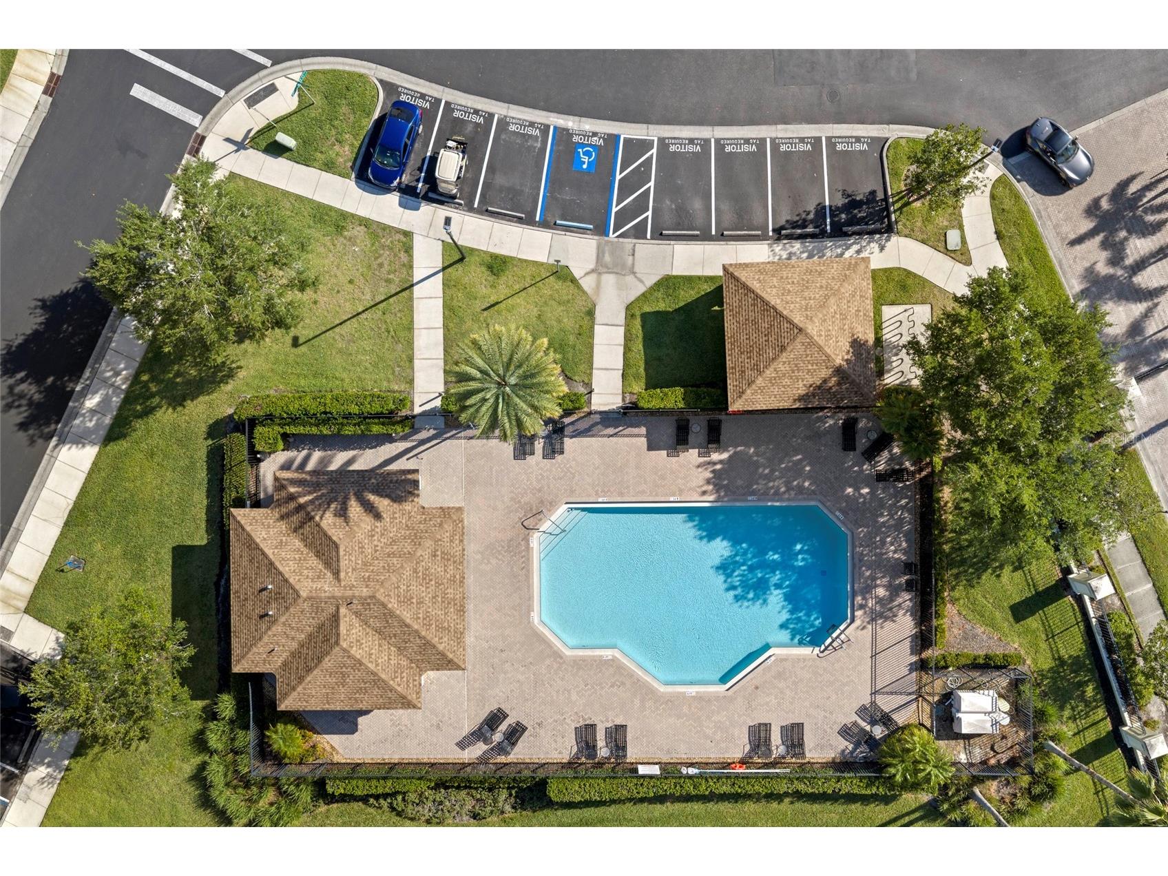 8825 White Sage Loop Lakewood Ranch FL 34202 A4692863 image33