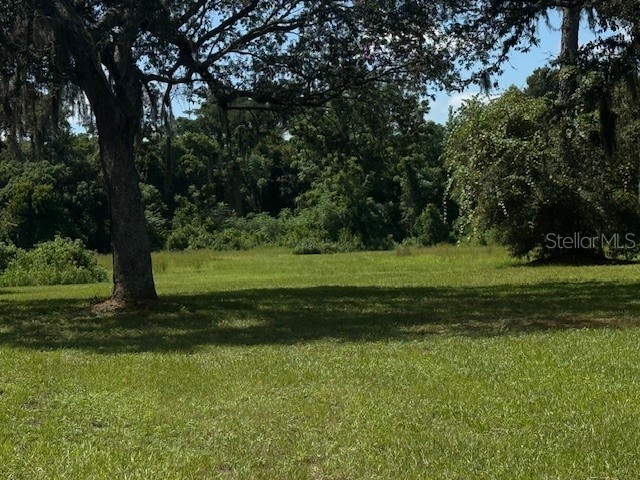 8826 Trevarthon Road Orlando FL 32817 O6343414 image40