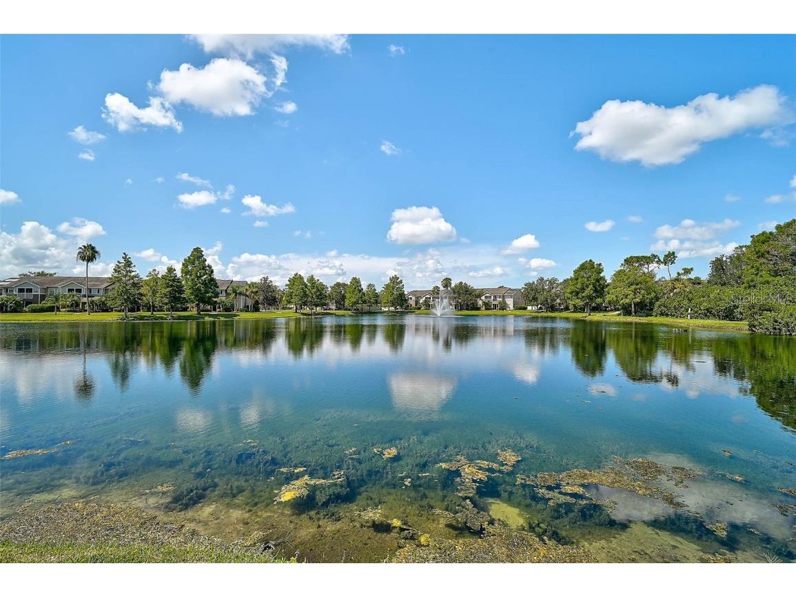 8827 Manor Loop #204 Lakewood Ranch FL 34202 A4660896 image24