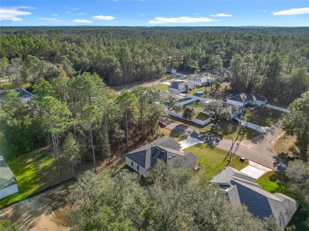 8827 N Mendoza Way Citrus Springs FL 34434 O6339292 image44