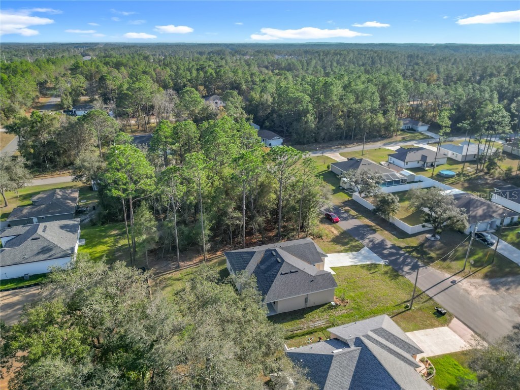 8827 N Mendoza Way Citrus Springs FL 34434 O6339292 image45