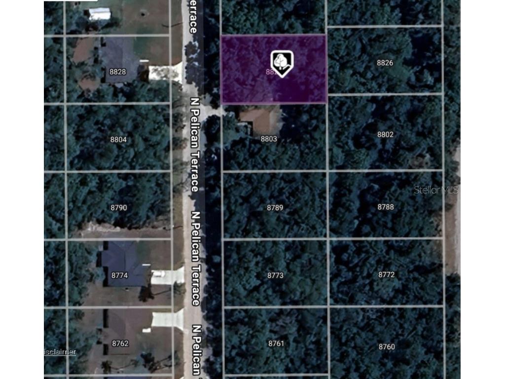 8827 N Pelican Terrace Dunnellon FL 34434 OM709334 image10