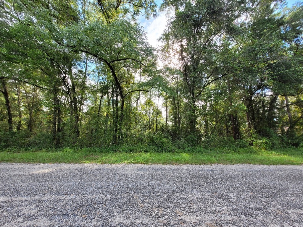 8827 N Pelican Terrace Dunnellon FL 34434 OM709334 image2