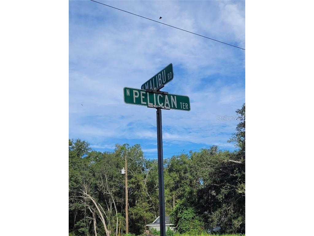 8827 N Pelican Terrace Dunnellon FL 34434 OM709334 image3