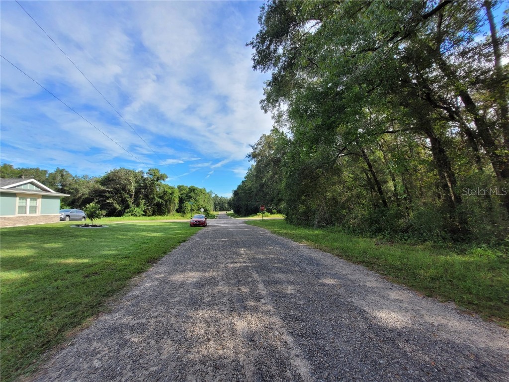 8827 N Pelican Terrace Dunnellon FL 34434 OM709334 image4