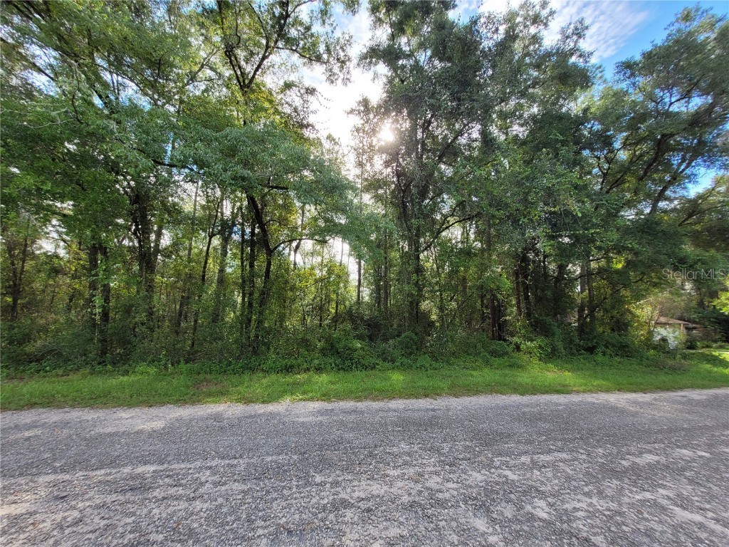 8827 N Pelican Terrace Dunnellon FL 34434 OM709334 image6