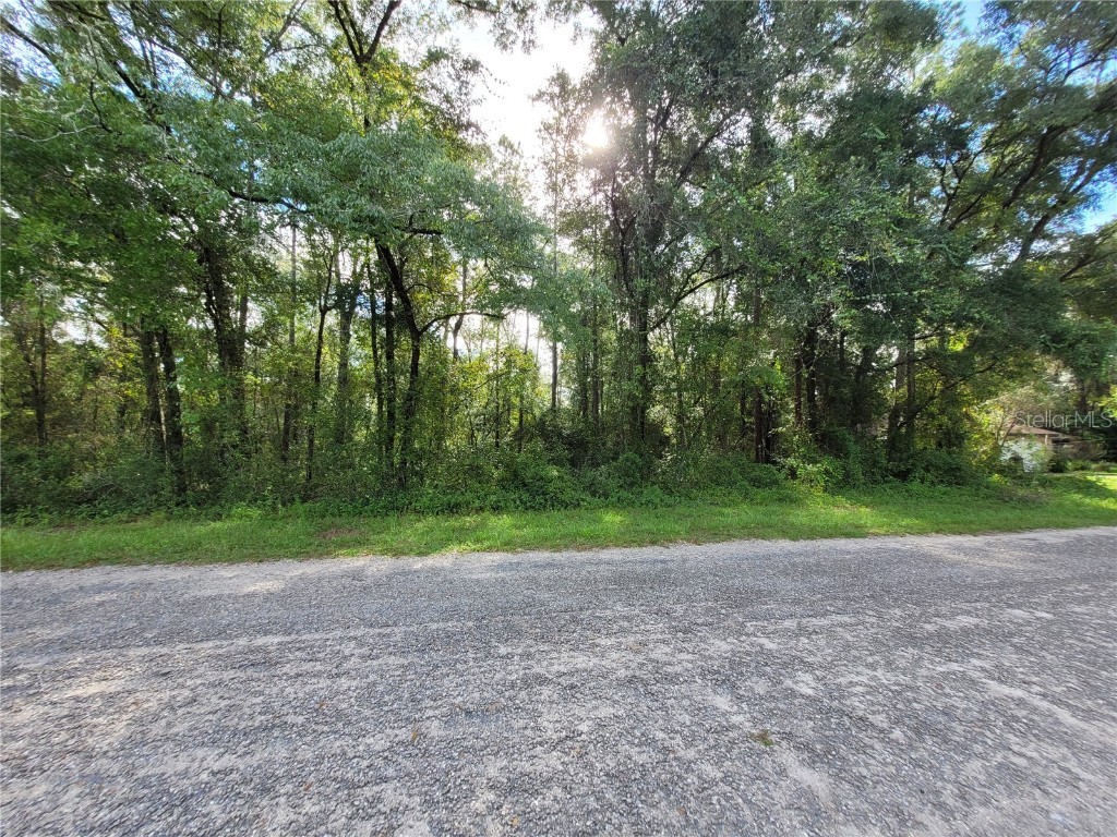 8827 N Pelican Terrace Dunnellon FL 34434 OM709334 image7