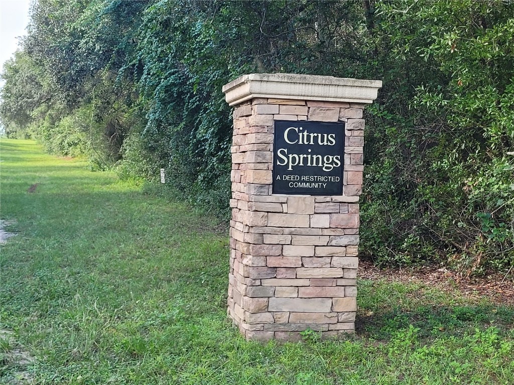 8827 N Pelican Terrace Dunnellon FL 34434 OM709334 image9