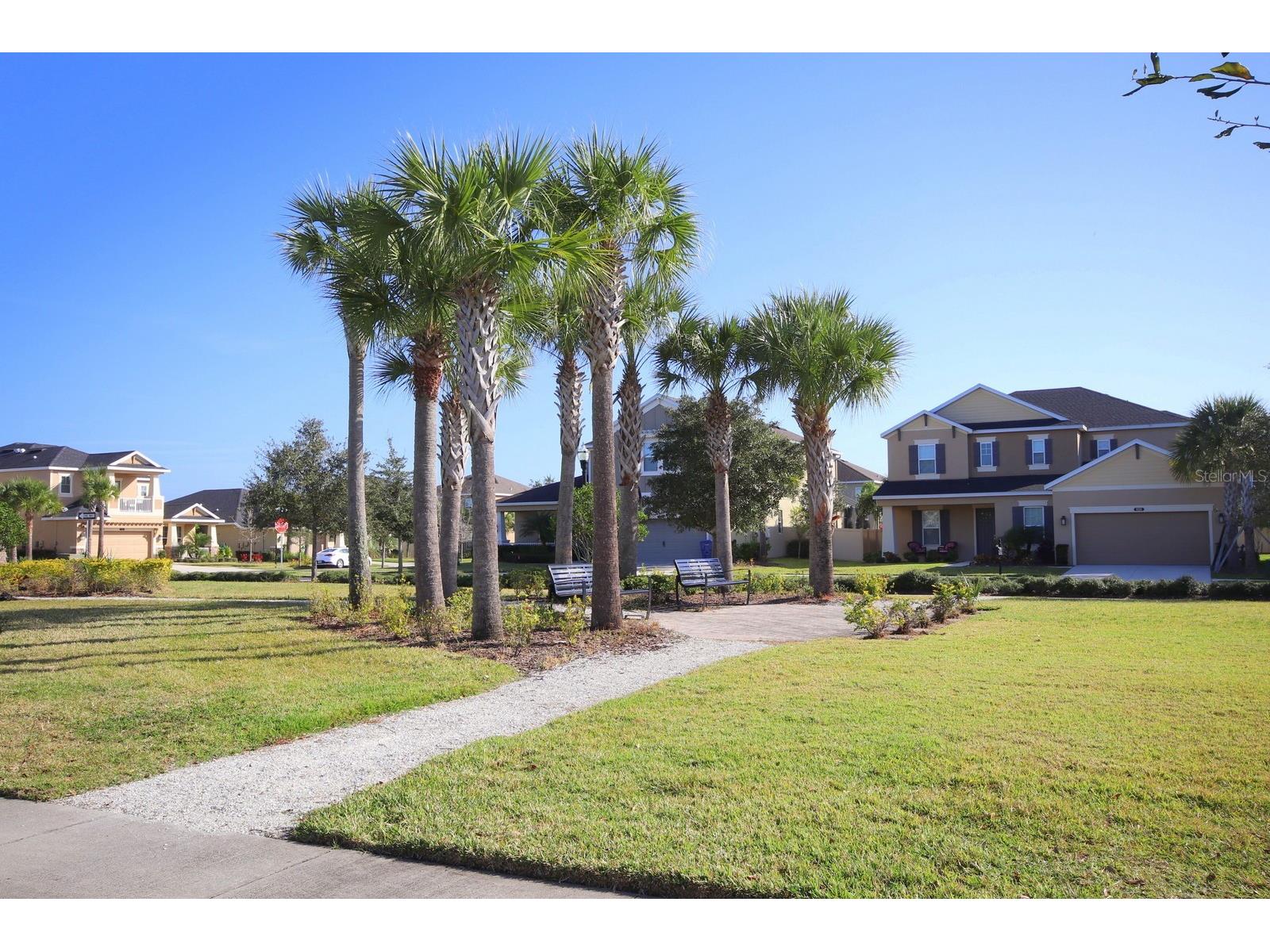 8827 Sentiero Drive Land O Lakes FL 34637 TB8527695 image2