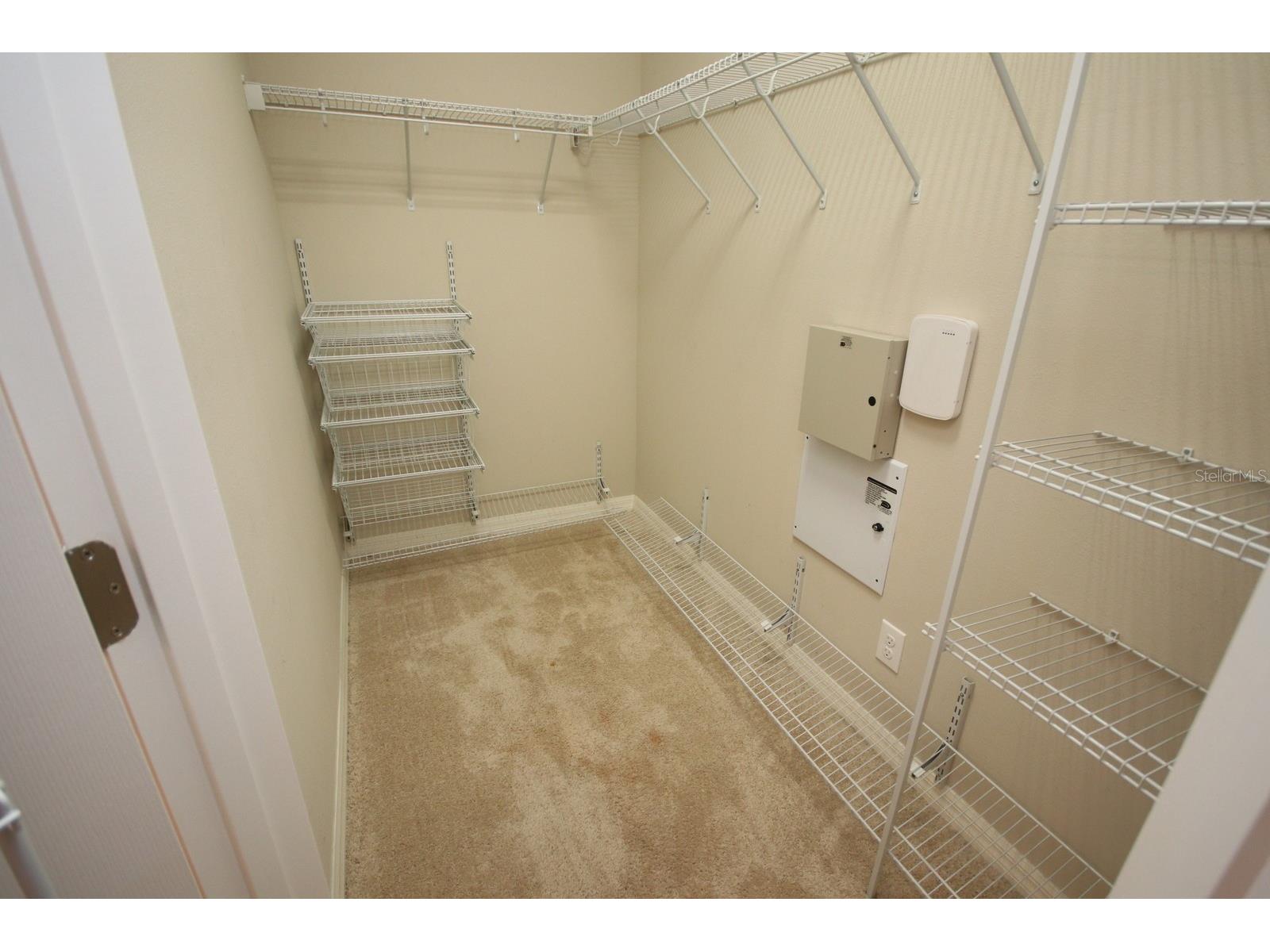 8827 Sentiero Drive Land O Lakes FL 34637 TB8527695 image20