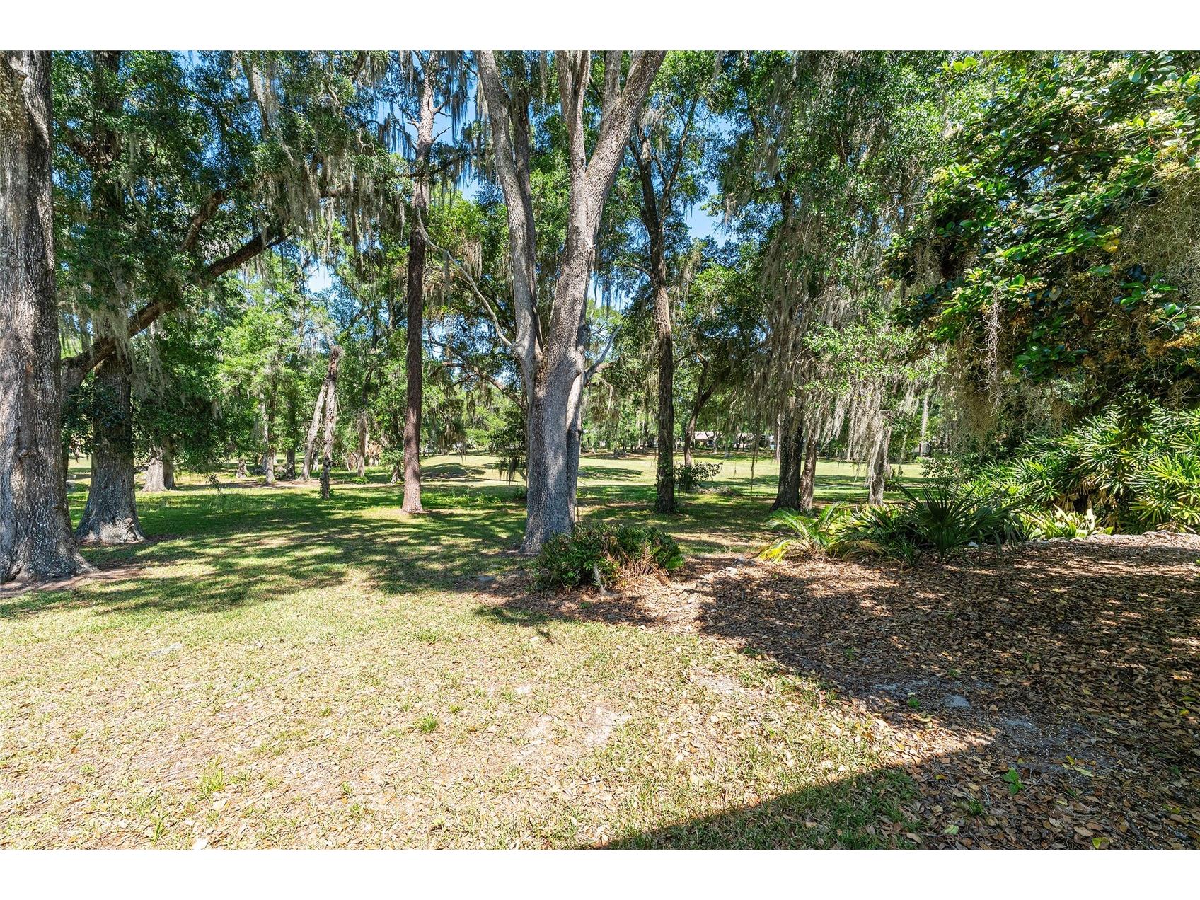 8827 SW 194 Court Dunnellon FL 34432 OM723842 image4