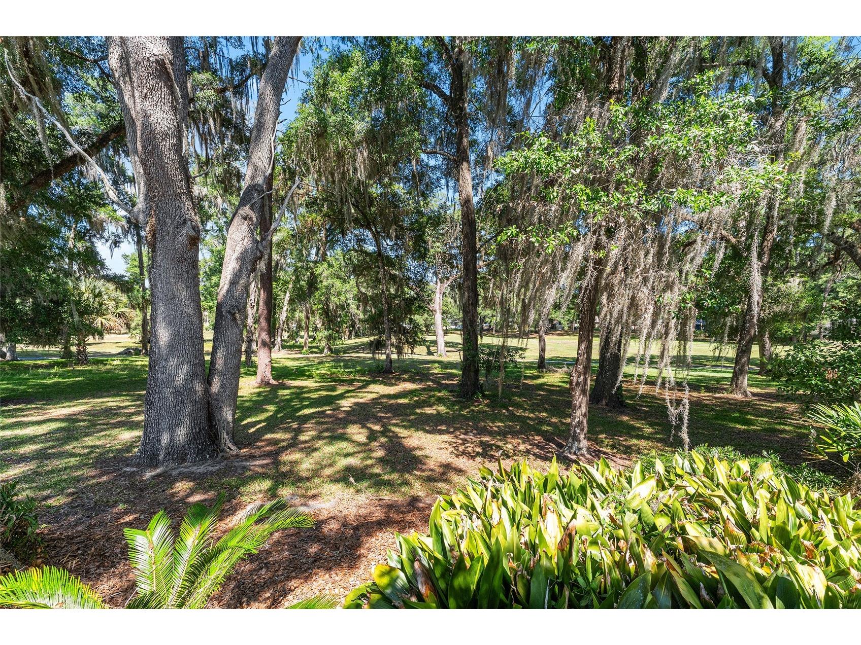 8827 SW 194 Court Dunnellon FL 34432 OM723842 image76