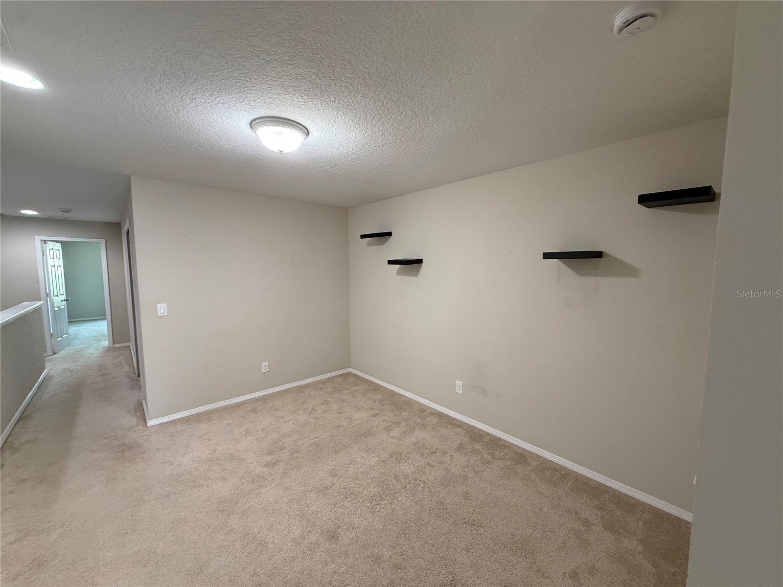 8827 Turnstone Haven Place Tampa FL 33619 TB8492065 image11