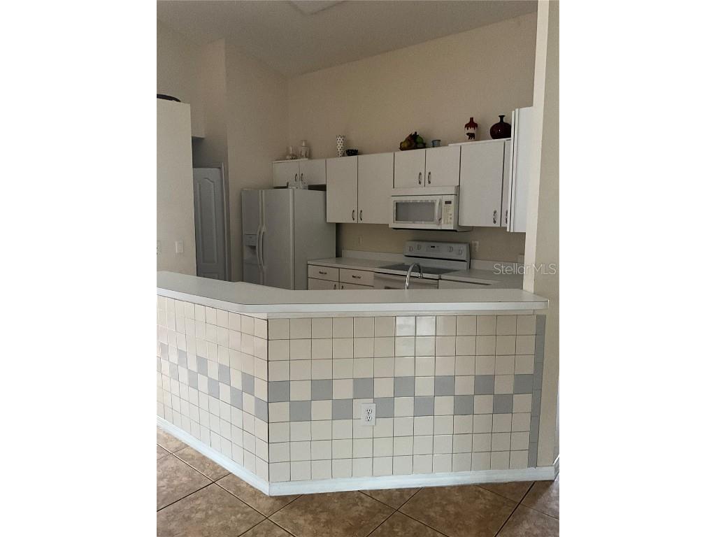 8828 Sea Island Way Tampa FL 33635 TB8434101 image4