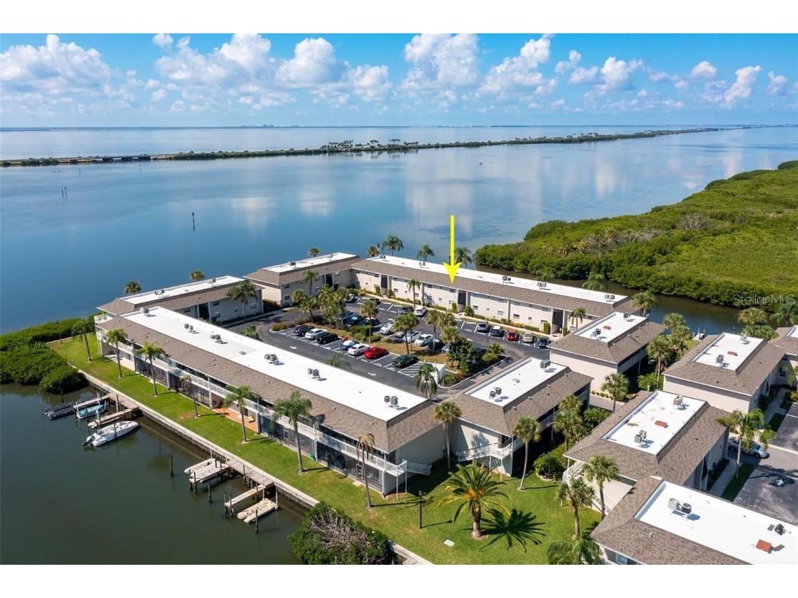 8829 Bay Pointe Drive #206 Tampa FL 33615 T3511490 image1