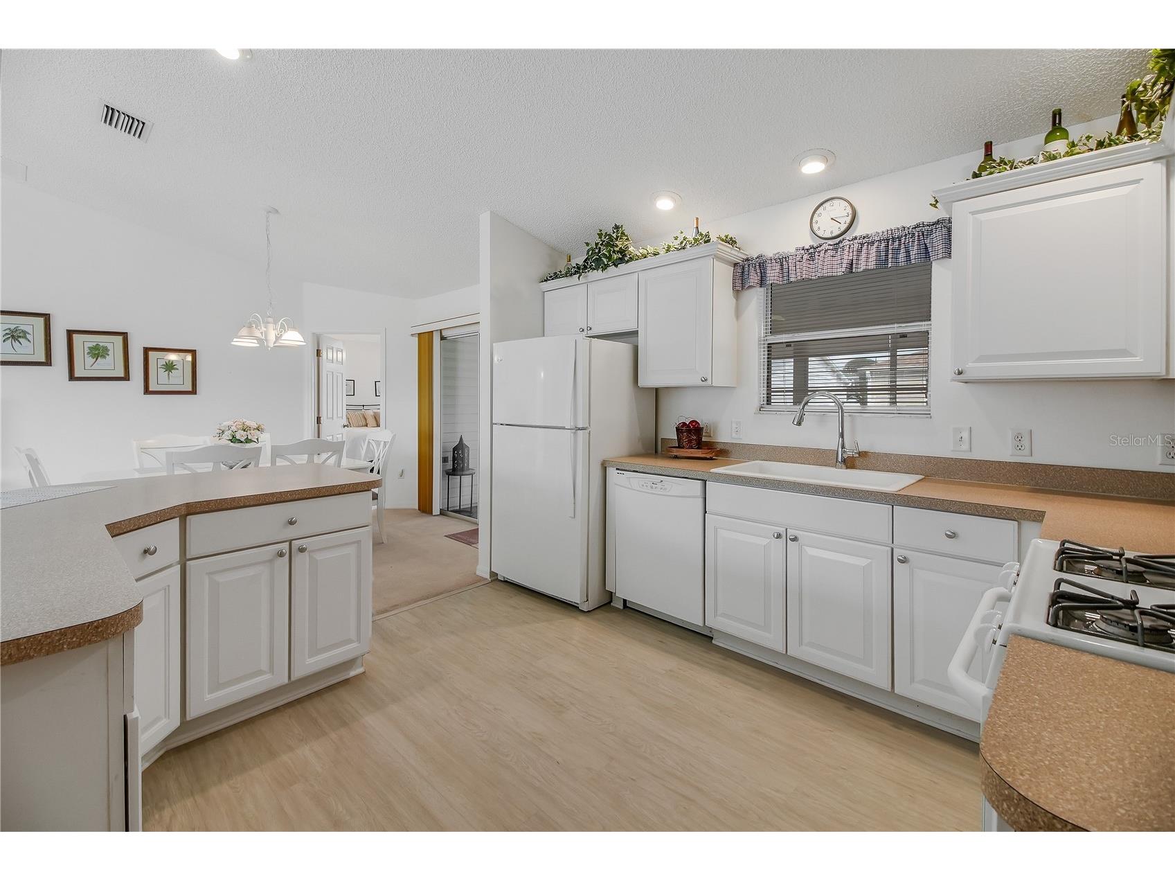 883 Aiken Avenue The Villages FL 32162 G5110310 image11