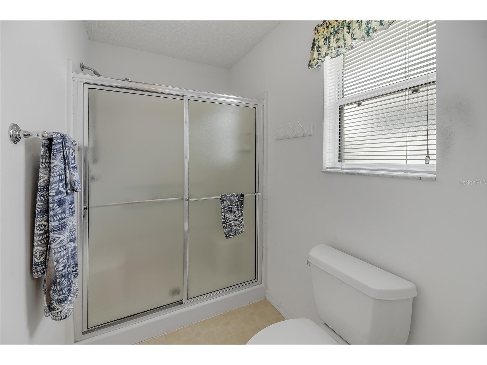 883 Aiken Avenue The Villages FL 32162 G5110310 image25