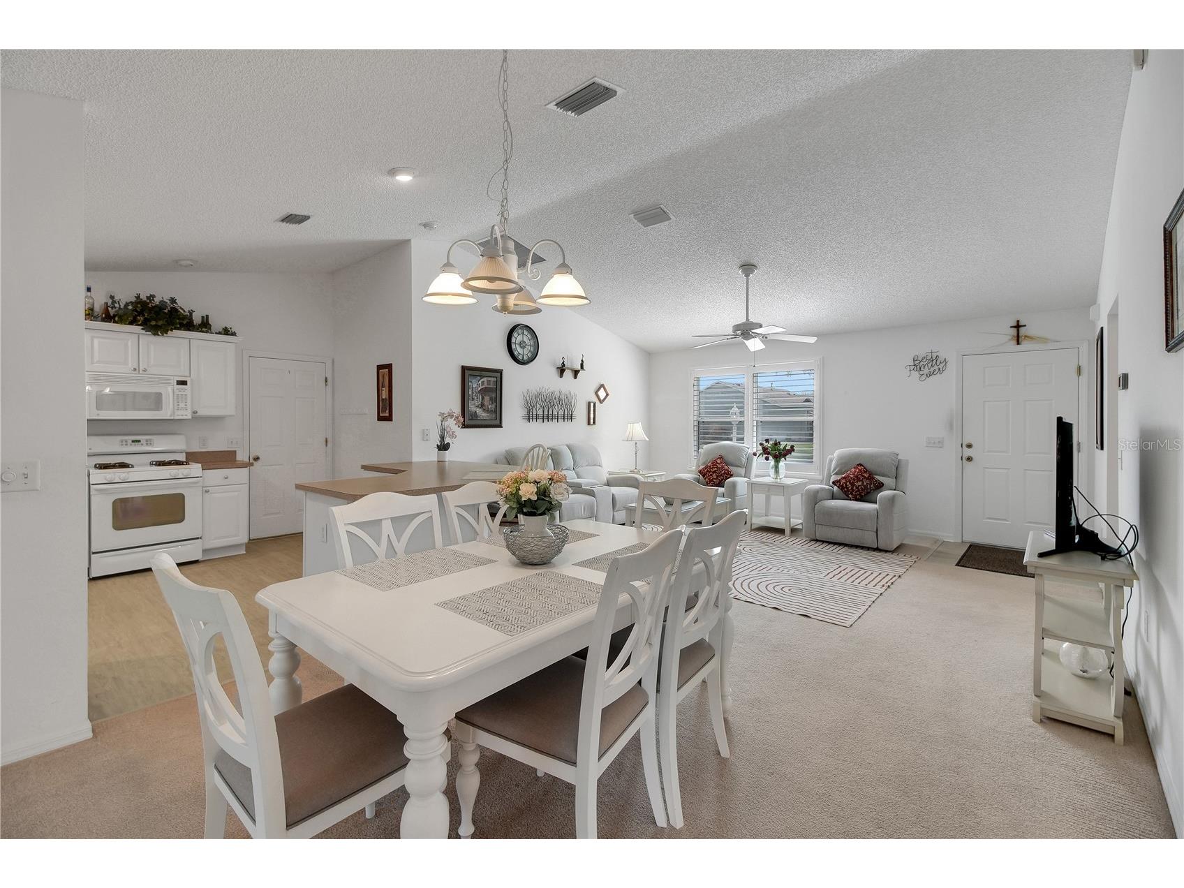 883 Aiken Avenue The Villages FL 32162 G5110310 image9