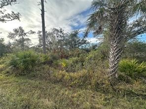 883 Bowman Terrace Port Charlotte FL 33953 A4666566 image1