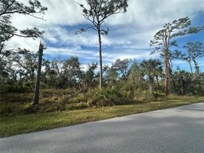 883 Bowman Terrace Port Charlotte FL 33953 A4666566 image4