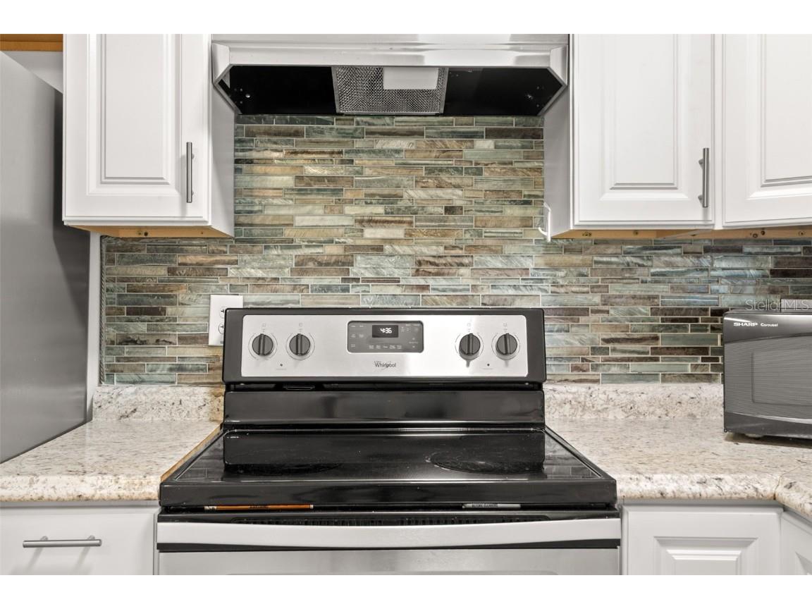 883 Sky Loch Drive S Dunedin FL 34698 TB8410266 image15