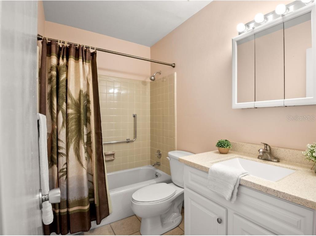 883 Sky Loch Drive S Dunedin FL 34698 TB8410266 image21