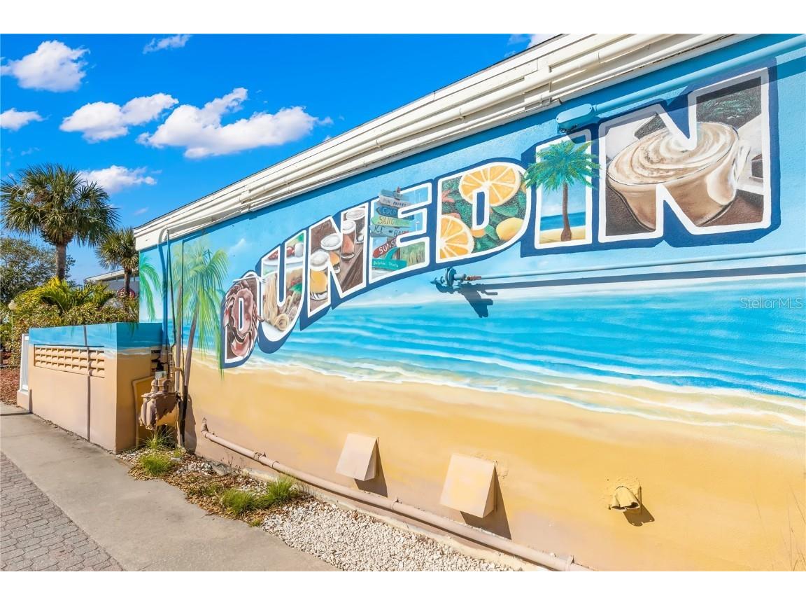 883 Sky Loch Drive S Dunedin FL 34698 TB8410266 image42