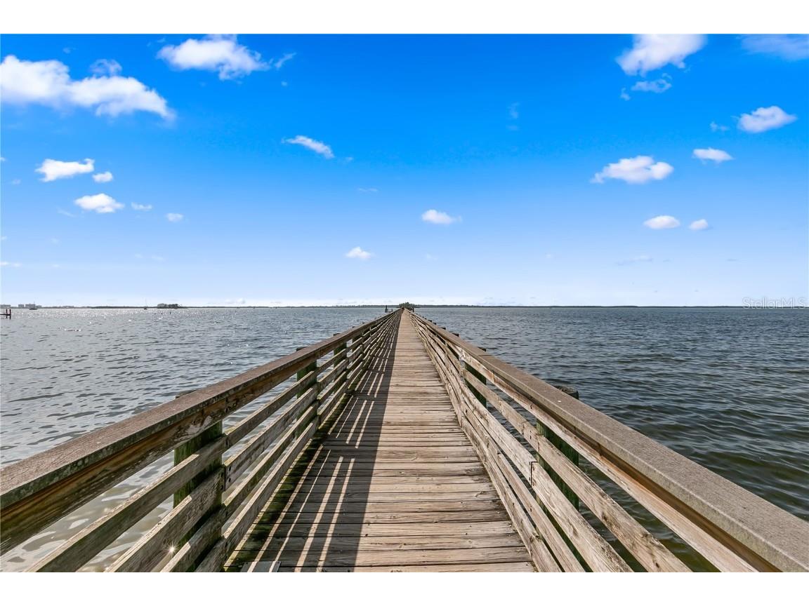 883 Sky Loch Drive S Dunedin FL 34698 TB8410266 image49