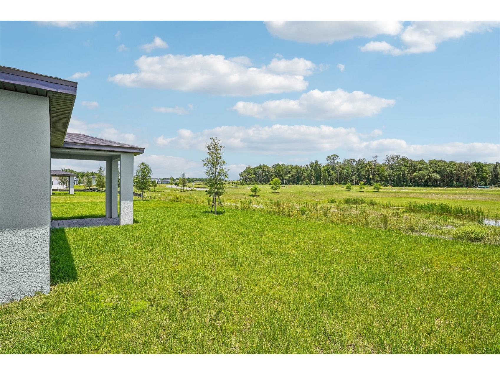 883 Sunshower Drive Lady Lake FL 32159 TB8497868 image40