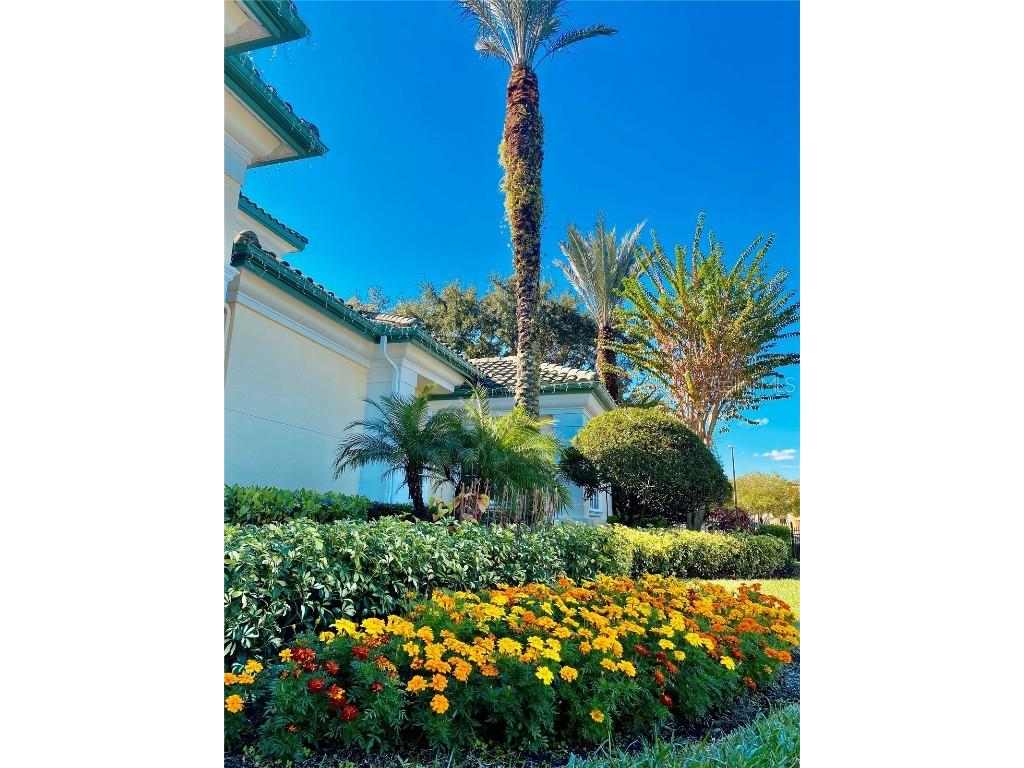 8830 Dunes Court #12 306 Kissimmee FL 34747 S5138392 image24