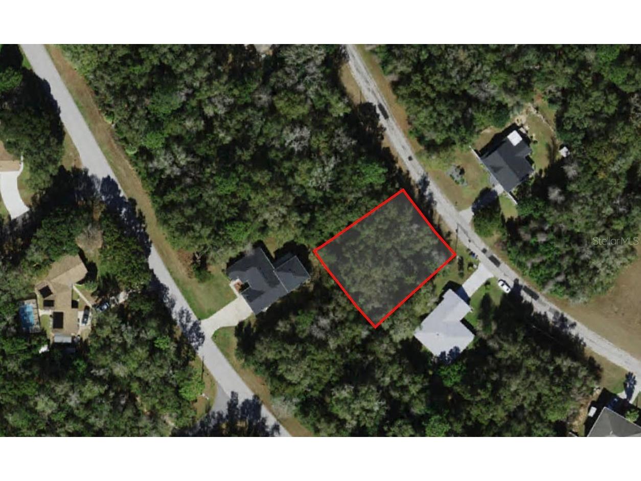 8830 N Salina Drive Citrus Springs FL 34434 O6195912 image1