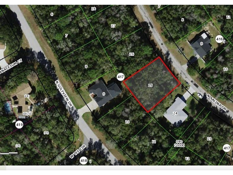 8830 N Salina Drive Citrus Springs FL 34434 O6214800 image1