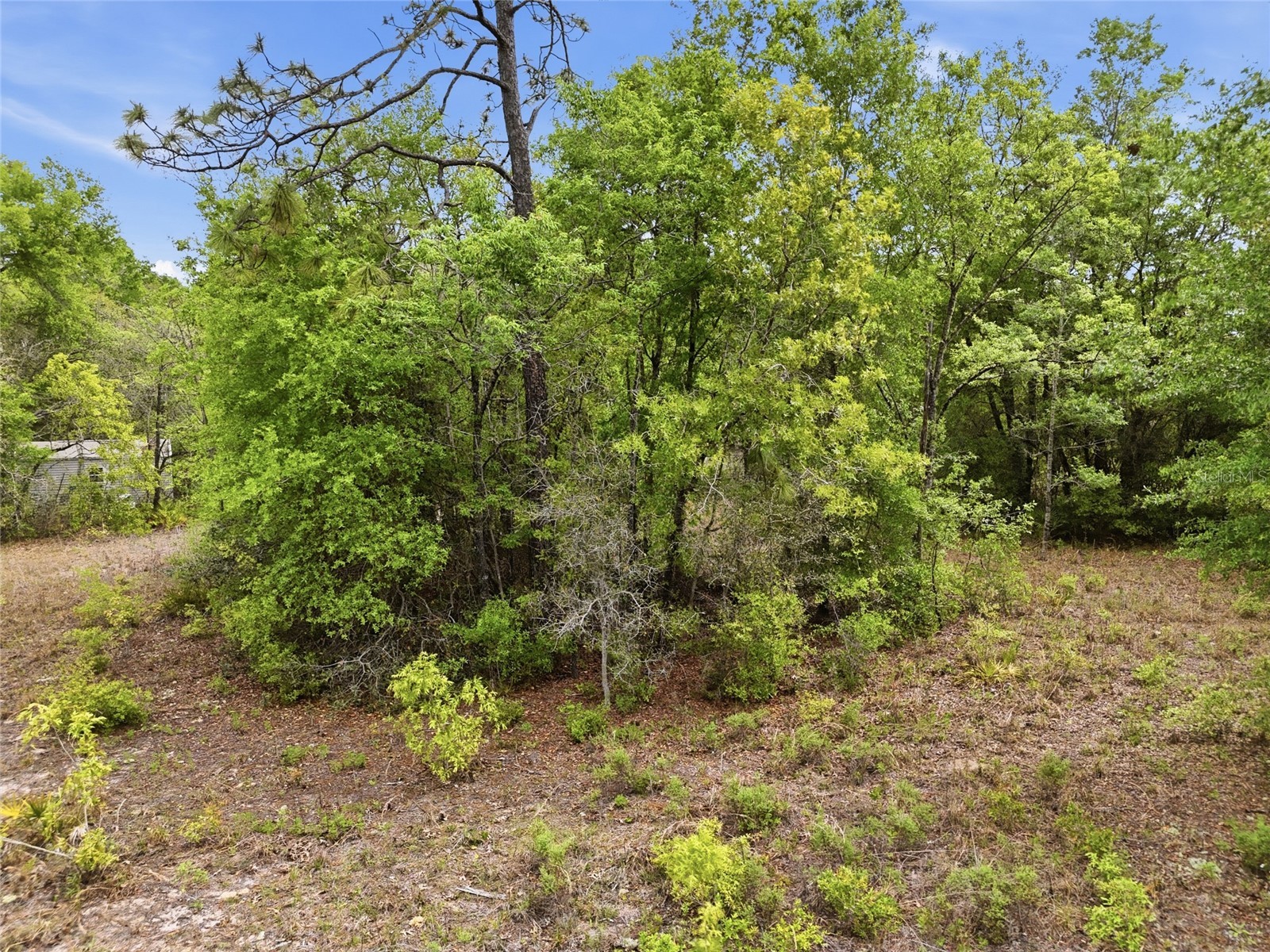8830 NE 118th Terrace Bronson FL 32621 GC539315 image11