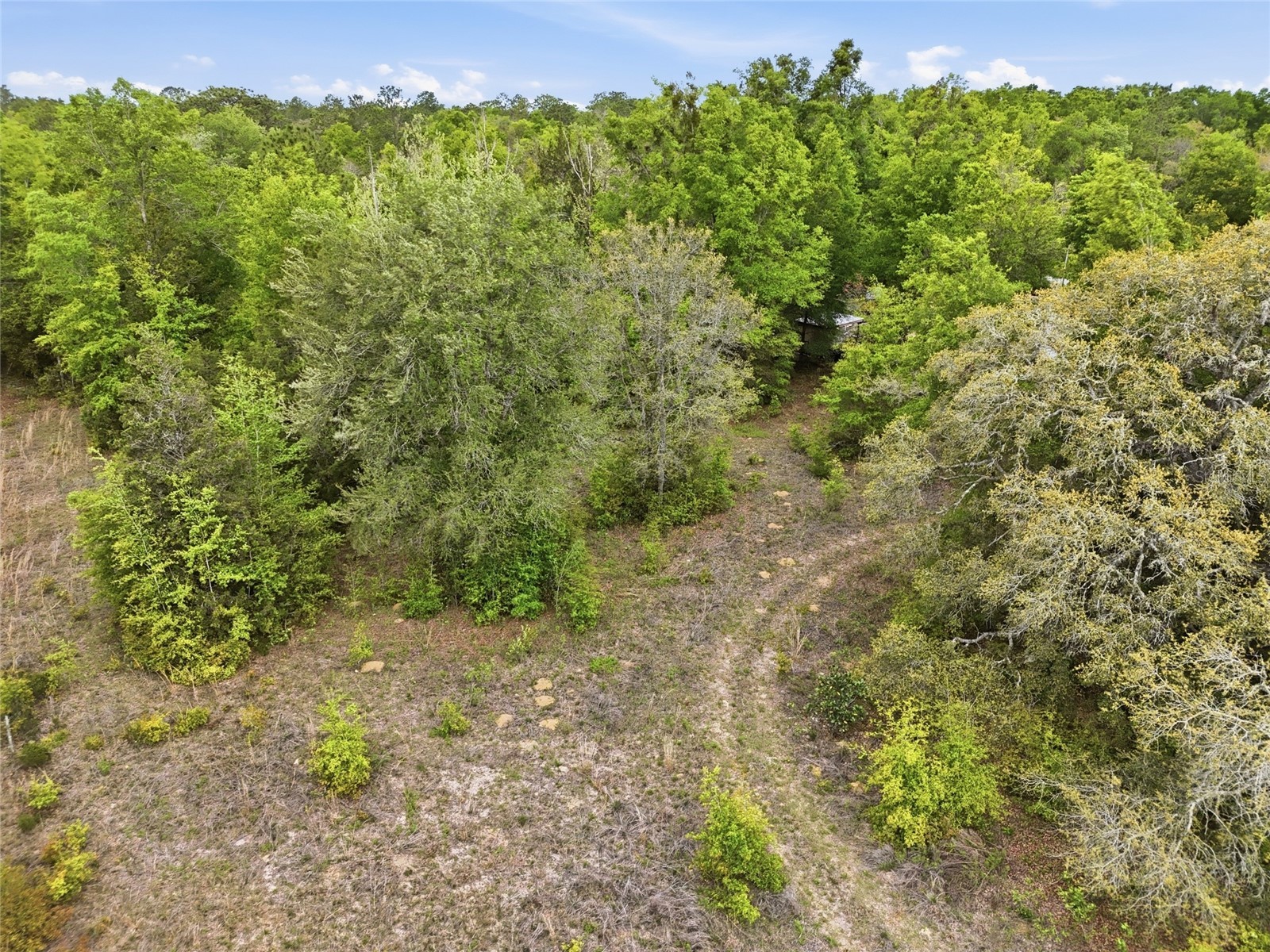 8830 NE 118th Terrace Bronson FL 32621 GC539315 image8