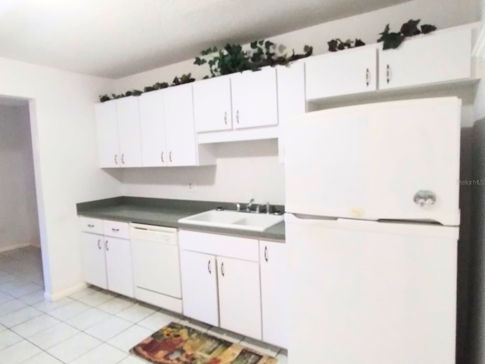 8830 SW 98 Place #M Ocala FL 34481 OM718473 image13