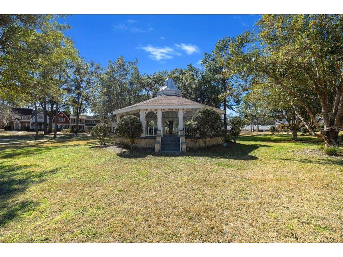8830 SW 98th Place #L Ocala FL 34481 OM718673 image14