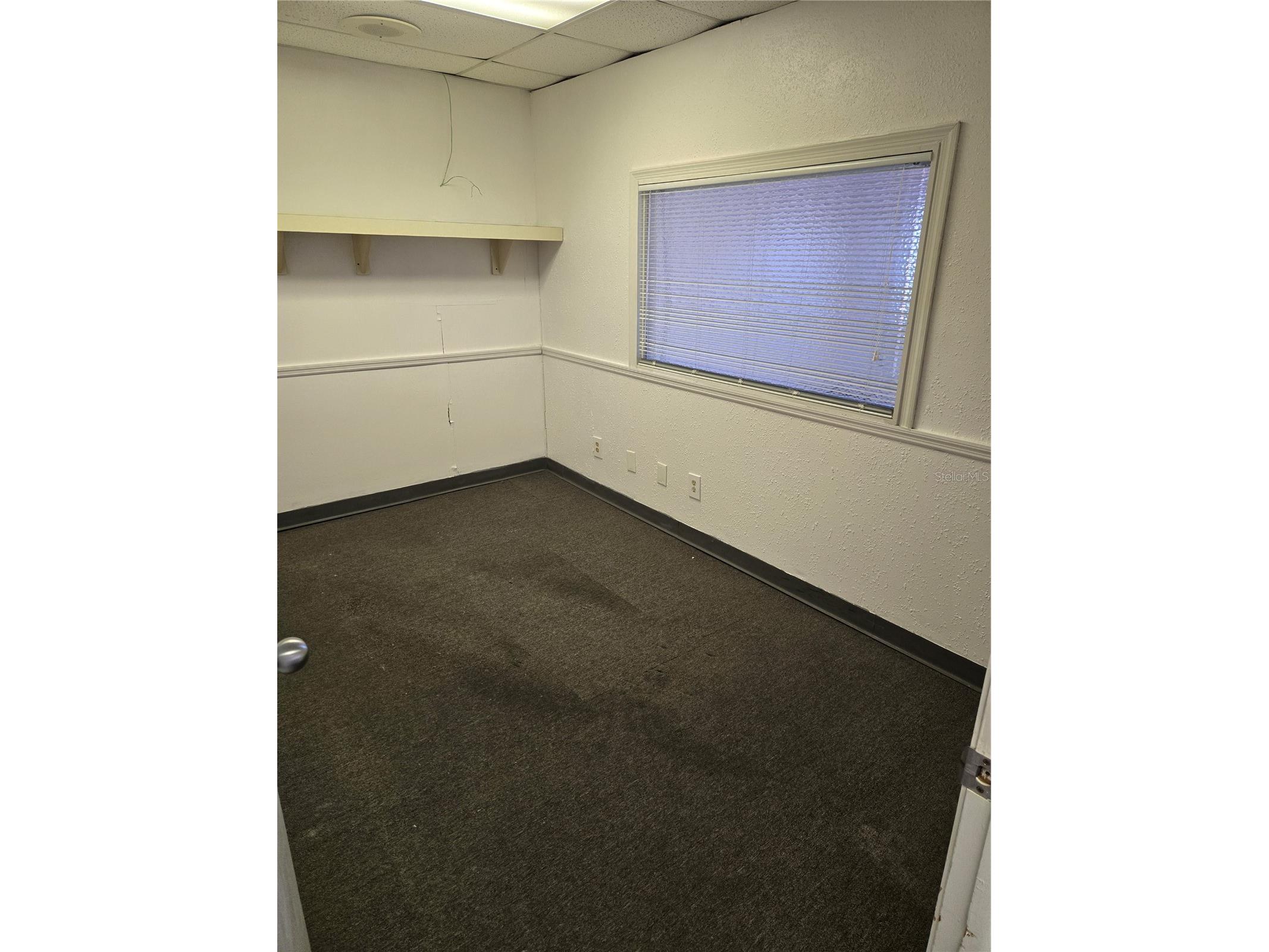 8831 49th Street N #4&5 Pinellas Park FL 33782 TB8466328 image10