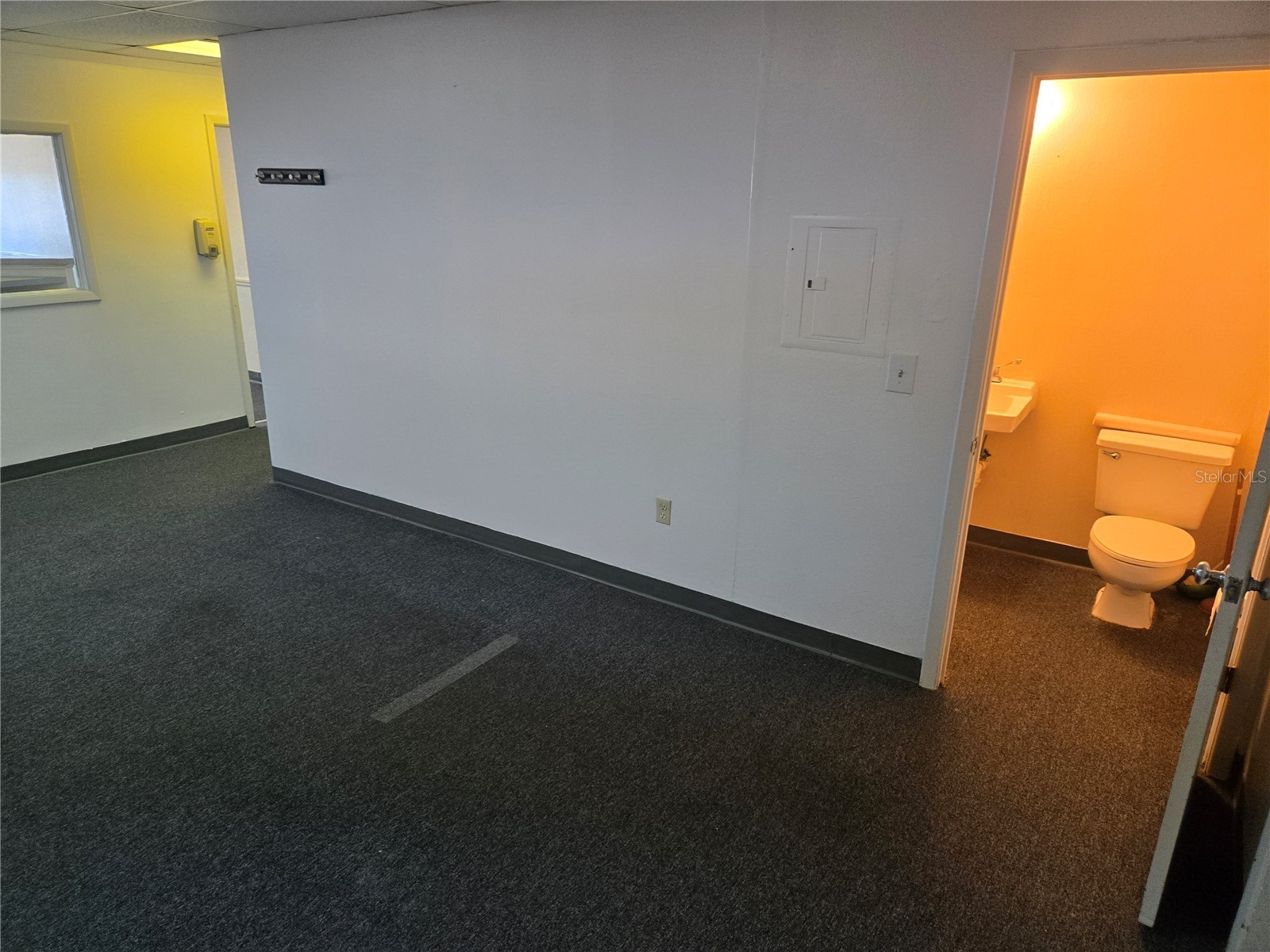 8831 49th Street N #4&5 Pinellas Park FL 33782 TB8466328 image11