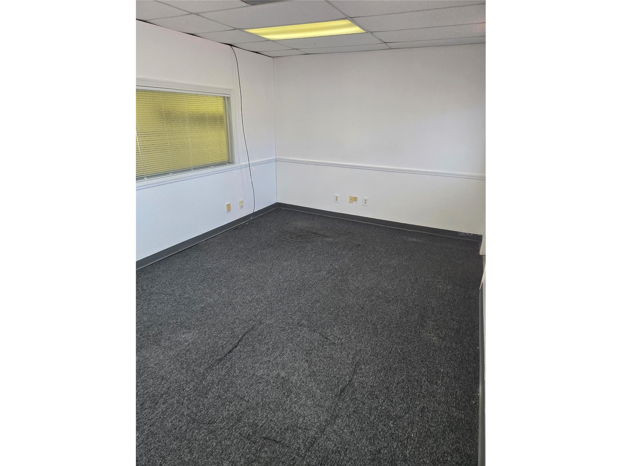 8831 49th Street N #4&5 Pinellas Park FL 33782 TB8466328 image13