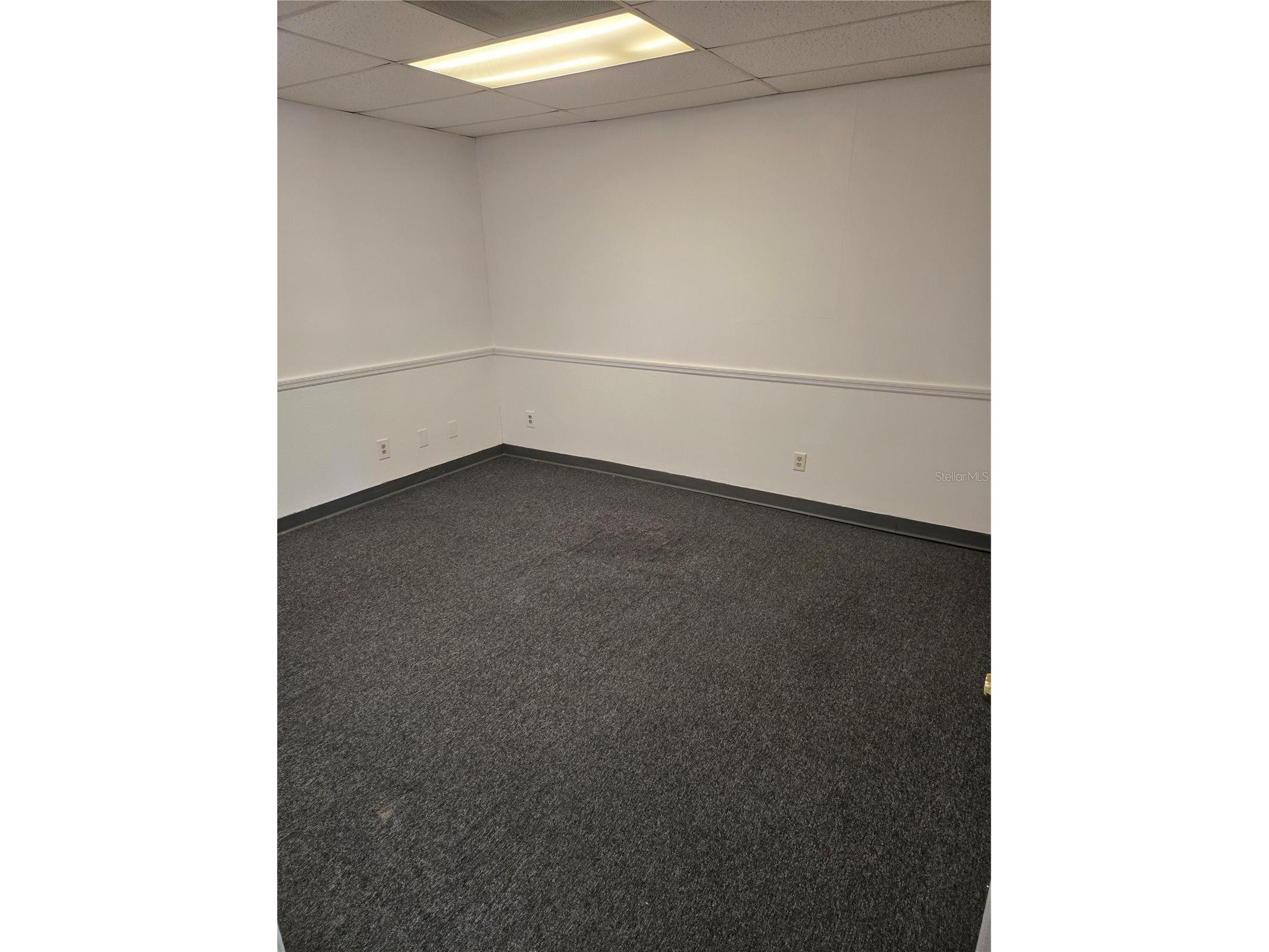 8831 49th Street N #4&5 Pinellas Park FL 33782 TB8466328 image14