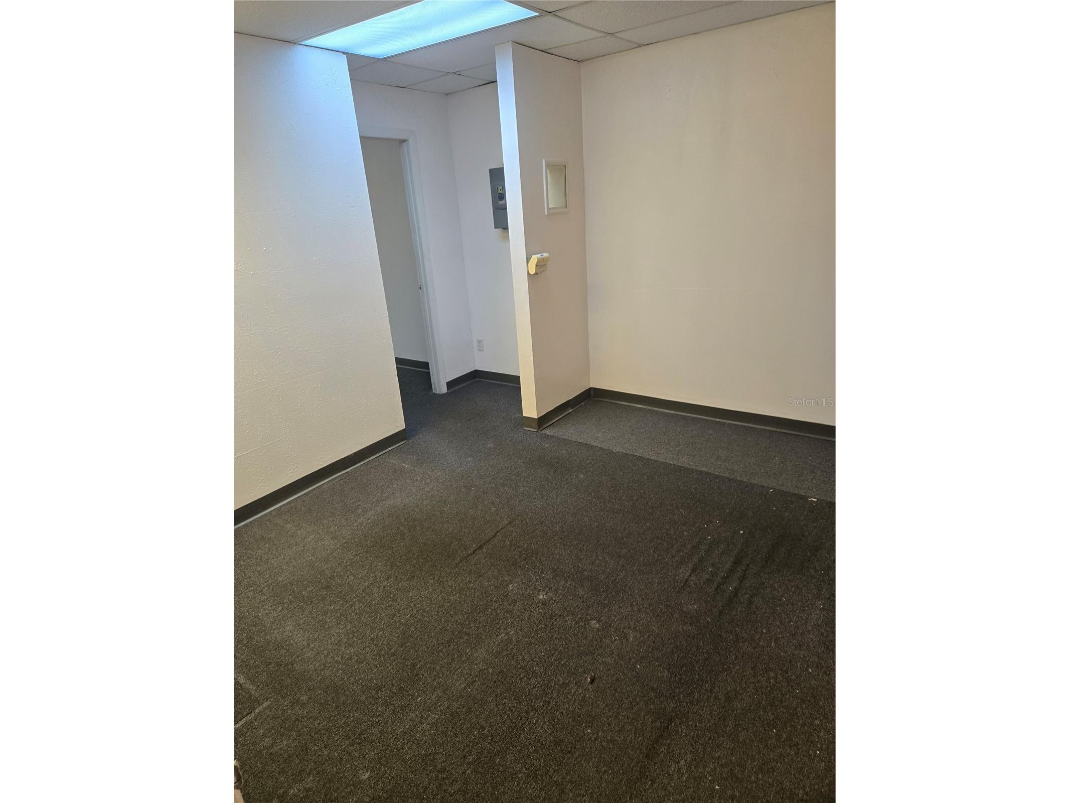 8831 49th Street N #4&5 Pinellas Park FL 33782 TB8466328 image17