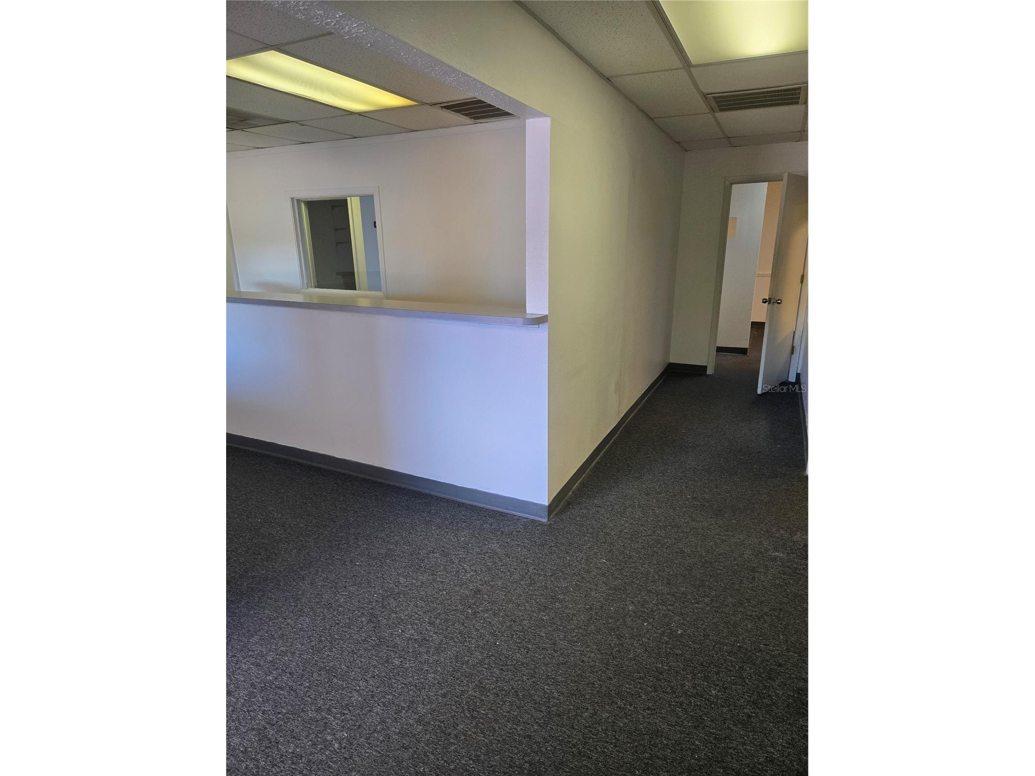 8831 49th Street N #4&5 Pinellas Park FL 33782 TB8466328 image9