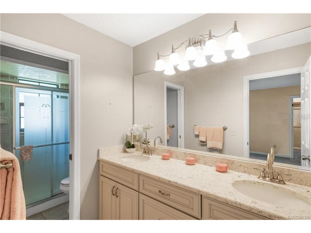 8831 E Sandpiper Drive Inverness FL 34450 TB8464566 image18