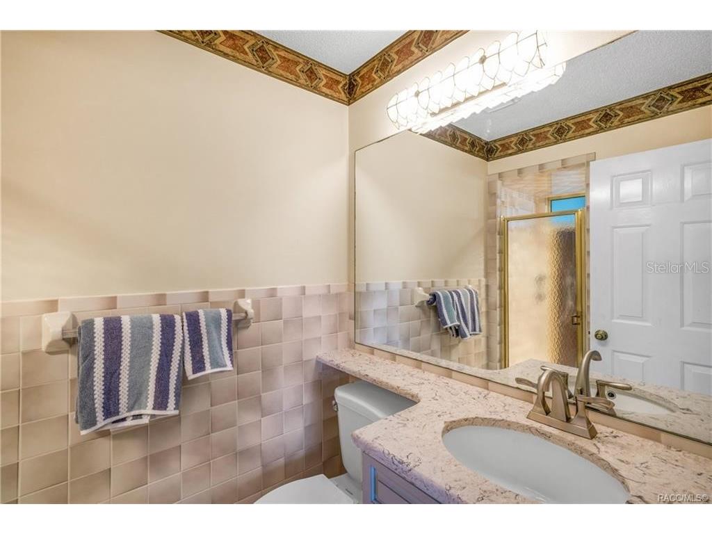 8831 E Sandpiper Drive Inverness FL 34450 TB8464566 image25