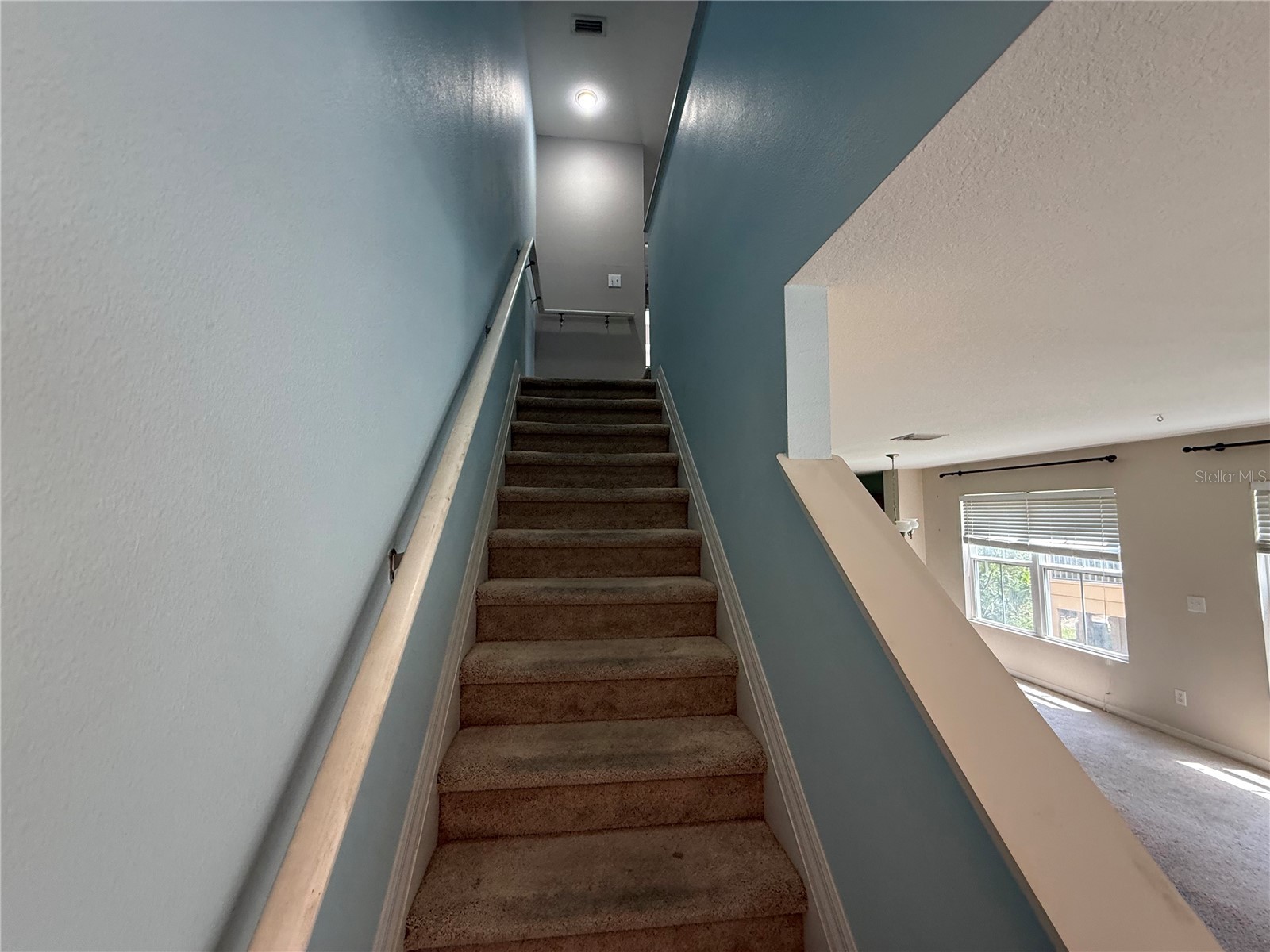 8831 White Sage Loop #8831 Lakewood Ranch FL 34202 TB8504725 image9