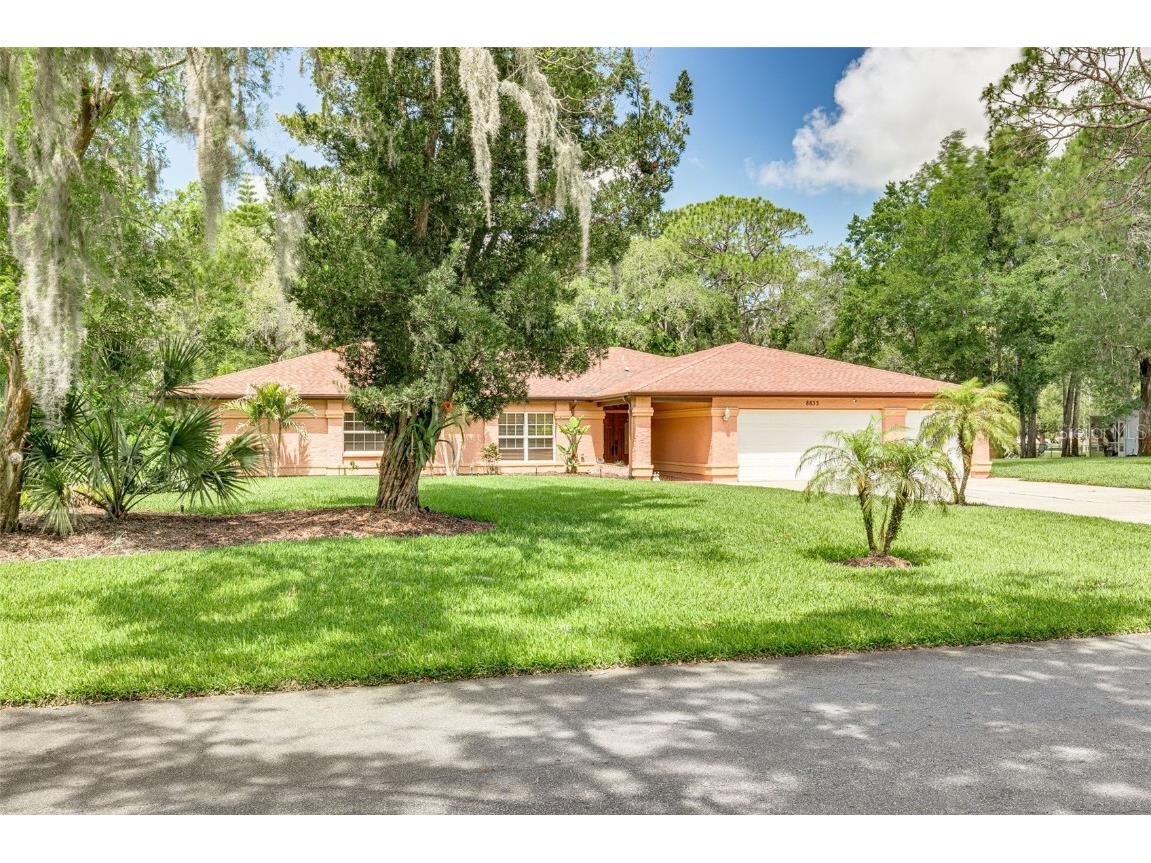 8833 Waterman Court New Port Richey FL 34654 U8199245 image1