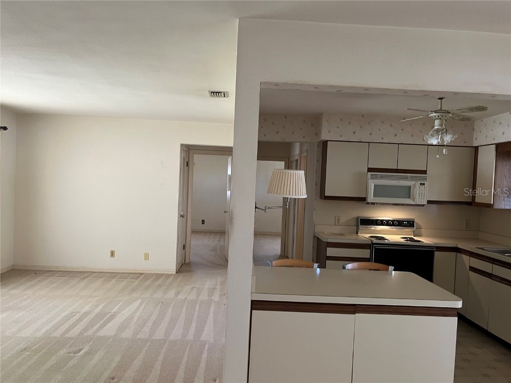 8834 108th Lane Seminole FL 33772 TB8437558 image11