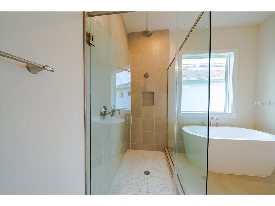 8834 Sanders Tree Loop Wesley Chapel FL 33545 TB8388543 image20